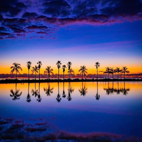 Meet your Posher, R - Picture 1 of 1